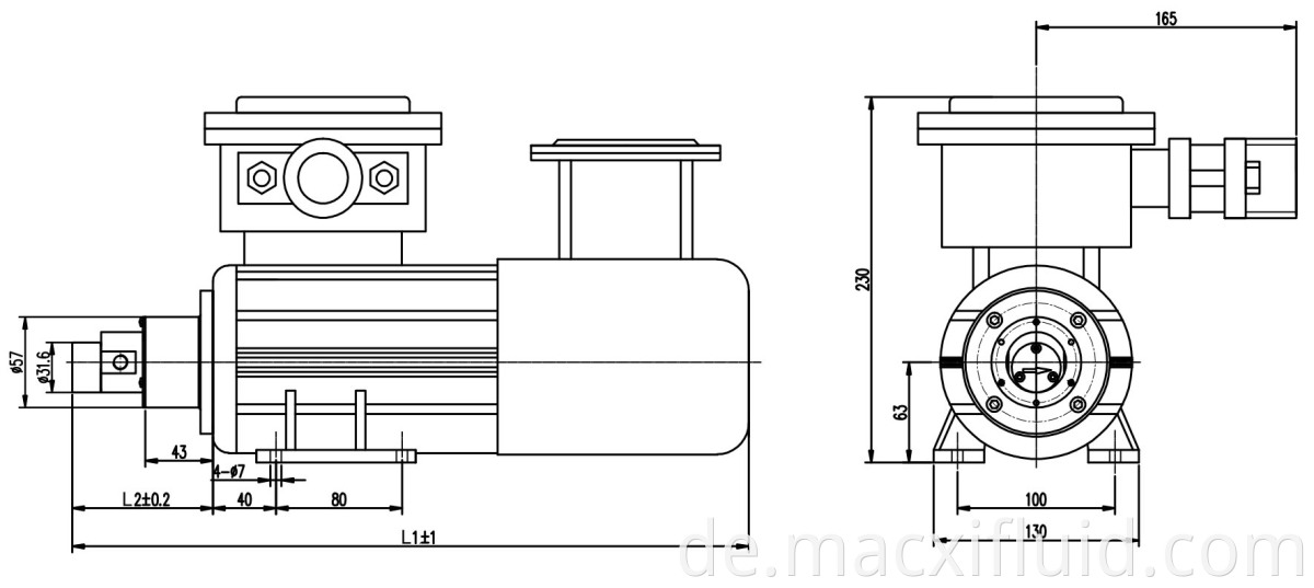 Explosionssicherer Miniaturmagnet -Antriebsgetriebepumpe für chemische Industrie M0.07S57YBP0.18KW2P